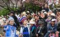 大理“三月街”民族节全州民族服饰走秀展风采