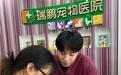 个人价值绽放，企业体系护航：李泳霖在新瑞鹏客服体系的跨界成长