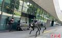 探访成都世运会场馆：机器狗巡检 科技感“爆棚”