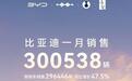 2025开门红，比亚迪1月狂卖30万辆，宋PLUS月销5万台成最大功臣
