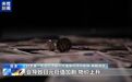 日本财务大臣发出“最强烈警告”