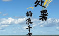 节令之美｜处暑：稻浪千重待丰收