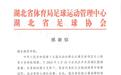 湖北商贸学院教师闪耀全运赛场，国足教练双重身份引关注
