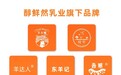 重磅！广州醇鲜然乳业旗下羊大师、纯宇等全品牌获中国人保全程承保
