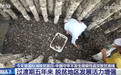 一组组数据映照“稳稳的幸福” 中国守牢不发生规模性返贫致贫底线