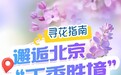 《寻花指南｜满园花枝香雪海！北京丁香寻芳图鉴来了》