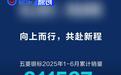 五菱银标6月销量46935台 1-6月累计销量31153台