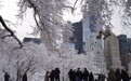 纽约迎来今冬首场降雪
