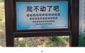 琅琊台风景区指示牌被指“嘲讽感拉满”，工作人员：年轻人设计的