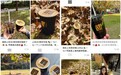 从Costa×乐源看饮品行业跨界：场景、产品与情感的三重破局