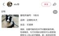 “北京公安局领养犬页面描述哭死我”