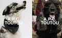 A.P.C.携高端宠物系列TOUTOU进军千亿宠物经济赛道