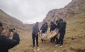 雪线密语：那些被遗忘在镜头之外的无名守护者