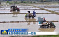 视频｜【在希望的田野上】全国春播粮食超过一亿亩