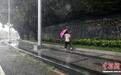台风“剑鱼”十二级风圈抵三亚：出行艰难 树木倒伏