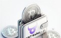 比特币因关门生效飙升至11.9万美元，BTC钱包XBIT Wallet助应对最新行情