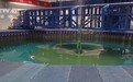 从海洋技术到“零关税”咖啡生豆 东盟伙伴实地感受海南自贸港“磁力”