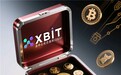 加密货币杠杆策略迎来新突破，XBIT构建高效交易新生态