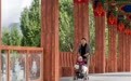 拉萨两岛内河焕新