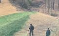陕西兴平回应“草地喷绿色液体”：不是绿漆，是营养液