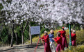 北京：老山花似锦