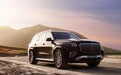 梅赛德斯-迈巴赫GLS 480礼逸版上市：3.0T大型SUV，售149.8万元