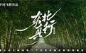 书写更适合中国宝宝的承诺，从《东北 真行》看飞鹤六十三年的坚守与超越