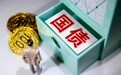 今日看点｜2025年中央金融机构注资特别国债上市交易