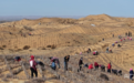 1954万亩！内蒙古2024年完成防沙治沙任务居全国首位