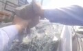 高温天男子熄火待在车内失去意识，辅警抄起路边砖头破窗抢救