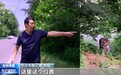 国道上多人“偶遇”同一东北虎 国家公园如何守住人虎安全边界？