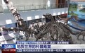 文化中国行丨穿越“石”空 在这座高校博物馆探寻生命演化奥秘