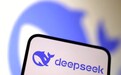 DeepSeek在意大利无法下载