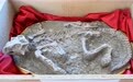 美国向中方返还64件(套)文物艺术品和古生物化石(11)