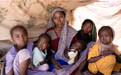 联合国机构警告：饥荒正在苏丹西部蔓延