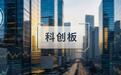 IPO前甲方成了股东，神州股份近半营收来自自己人