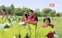 红莲湖“AiLu”志愿者助农采摘义卖解民忧