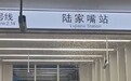 2号线陆家嘴站出入口现大量白蚁，上海地铁回应