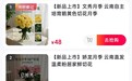 视频丨以英雄为名！“文秀”“娇龙”月季上市