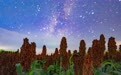 星空相册丨“星”耀“北大仓”：黑土地上演别样丰收浪漫(13)#