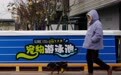 江苏：“宠物友好”融入城市生活圈 激活产业新生态(7)