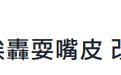 荒唐！绿营官员竟称：再选赖清德就好了