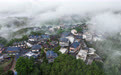 云南景洪：基诺山村开辟“雨林徒步游”促增收(3)#