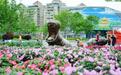 “五一”武汉等12座城邀您1小时跨城赏花！以花市盛会激活文旅消费