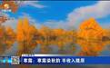【二十四节气】寒露：寒露染秋韵 丰收入陇原