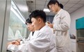 科创筑梦·菌归草原——包头师范学院草原白蘑团队探索“白蘑培育＋生态修复”双向增益新路径