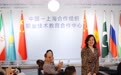 从欧洲到天津，希腊教师团在中国当“职教学生”(1)
