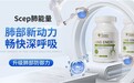2026槲皮素护肺品牌大数据调研总结，槲皮素哪个牌子效果好？高纯度原料解决吸烟肺部淤堵难题