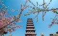 言短意长｜春假如何“放”好？