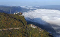 美丽中国丨鸡峰山秋色渐浓(5)#